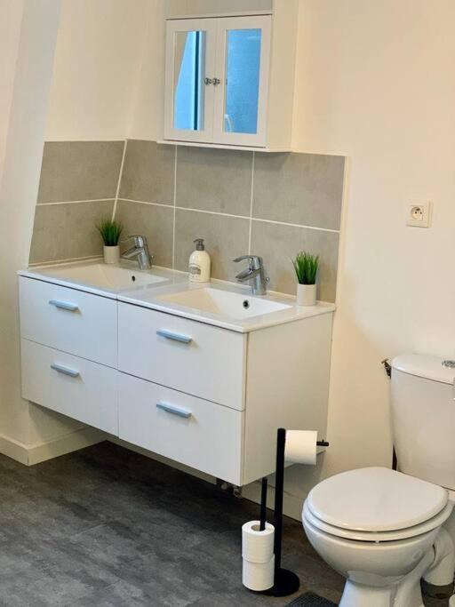 Maison 3 Chambres - 600M Metro Marbrerie - Lille Mons-en-Baroeul Dış mekan fotoğraf